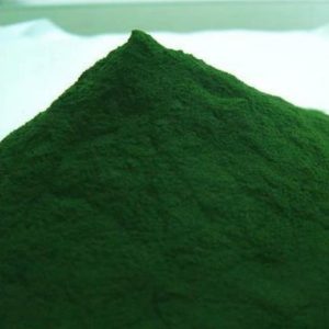 螺旋藻粉 Spirulina powder