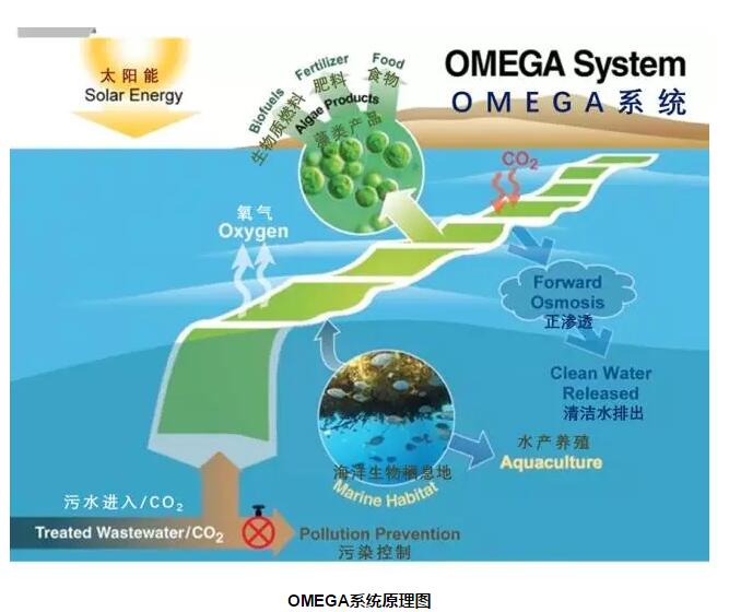 OMEGA系統原理圖